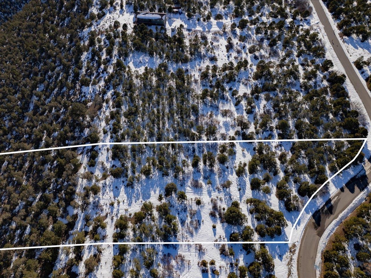 Tbd Pine Drive, Unit 38 Ridgway, CO 81432 - Photo 5 of 26