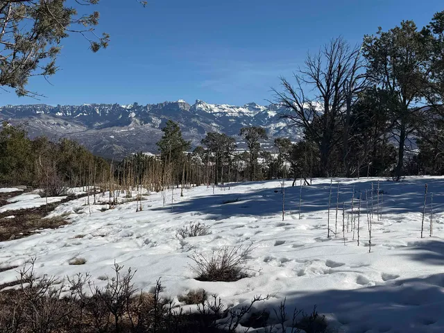 $399,000 | Tbd Pine Drive, Unit 38, Ridgway, CO 81432