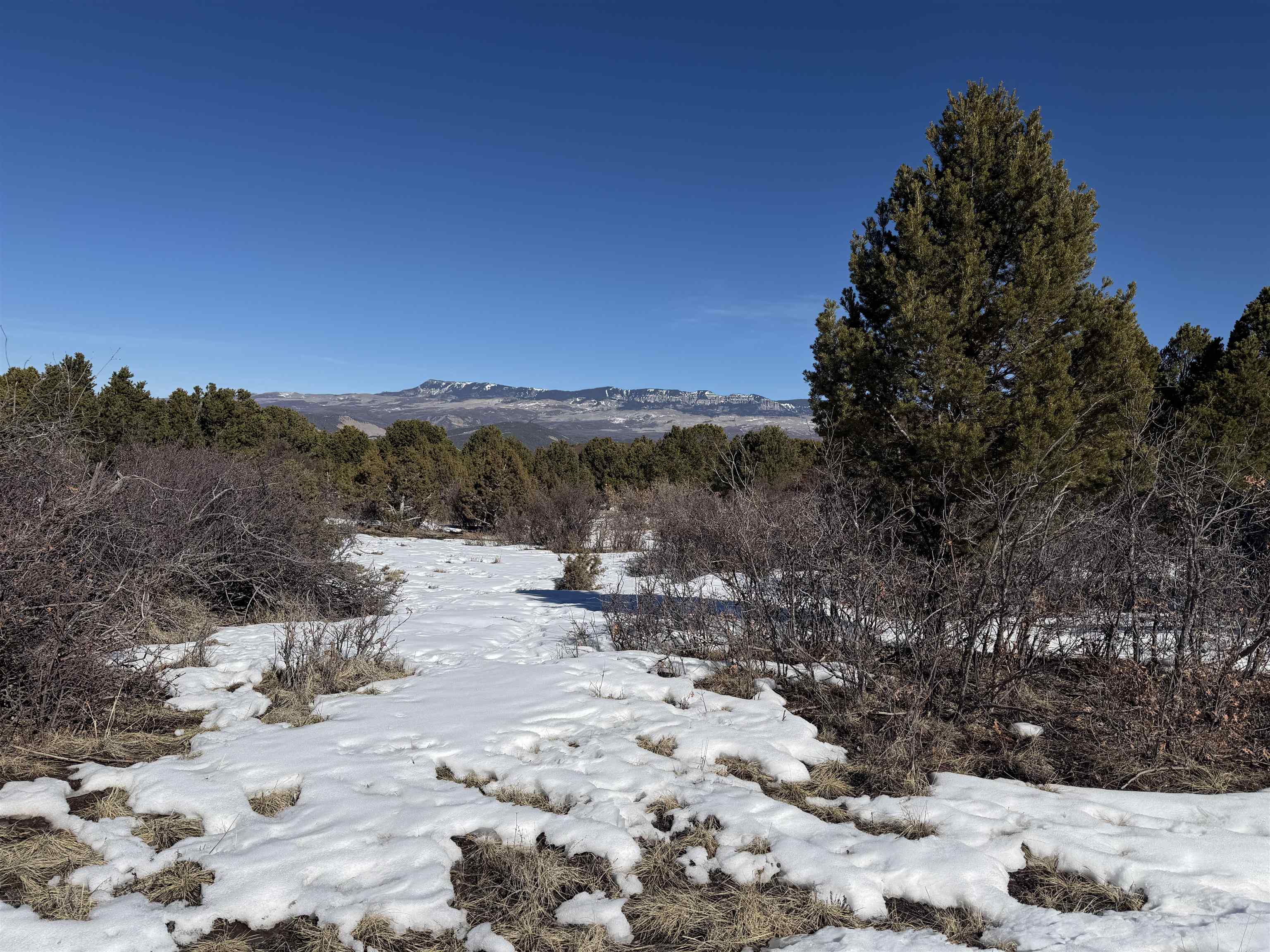 Tbd Pine Drive, Unit 38 Ridgway, CO 81432 - Photo 8 of 26