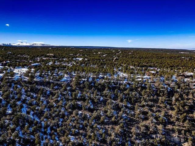 $399,000 | Tbd Pine Drive, Unit 38, Ridgway, CO 81432