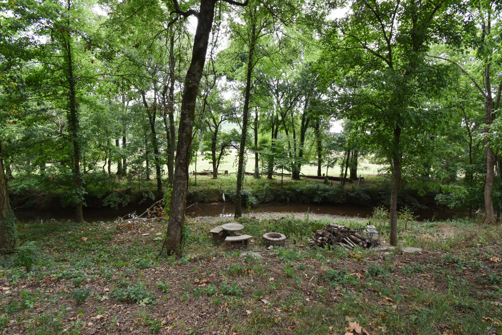 1000 Five Points Road Pulaski, TN 38478 - Photo 15 of 50 a view of lake with green space
