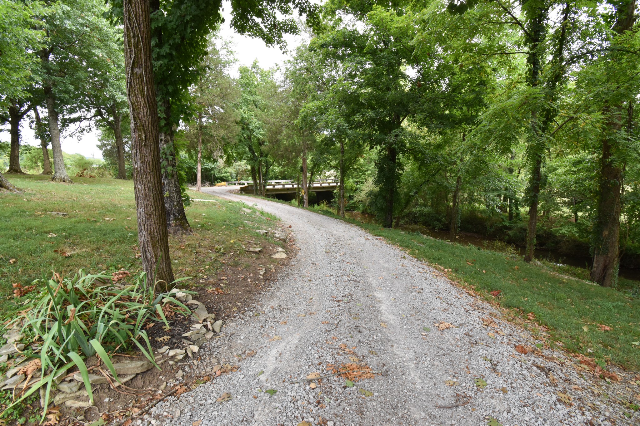 1000 Five Points Road Pulaski, TN 38478 - Photo 18 of 50 a view of a trees with yard next to a road