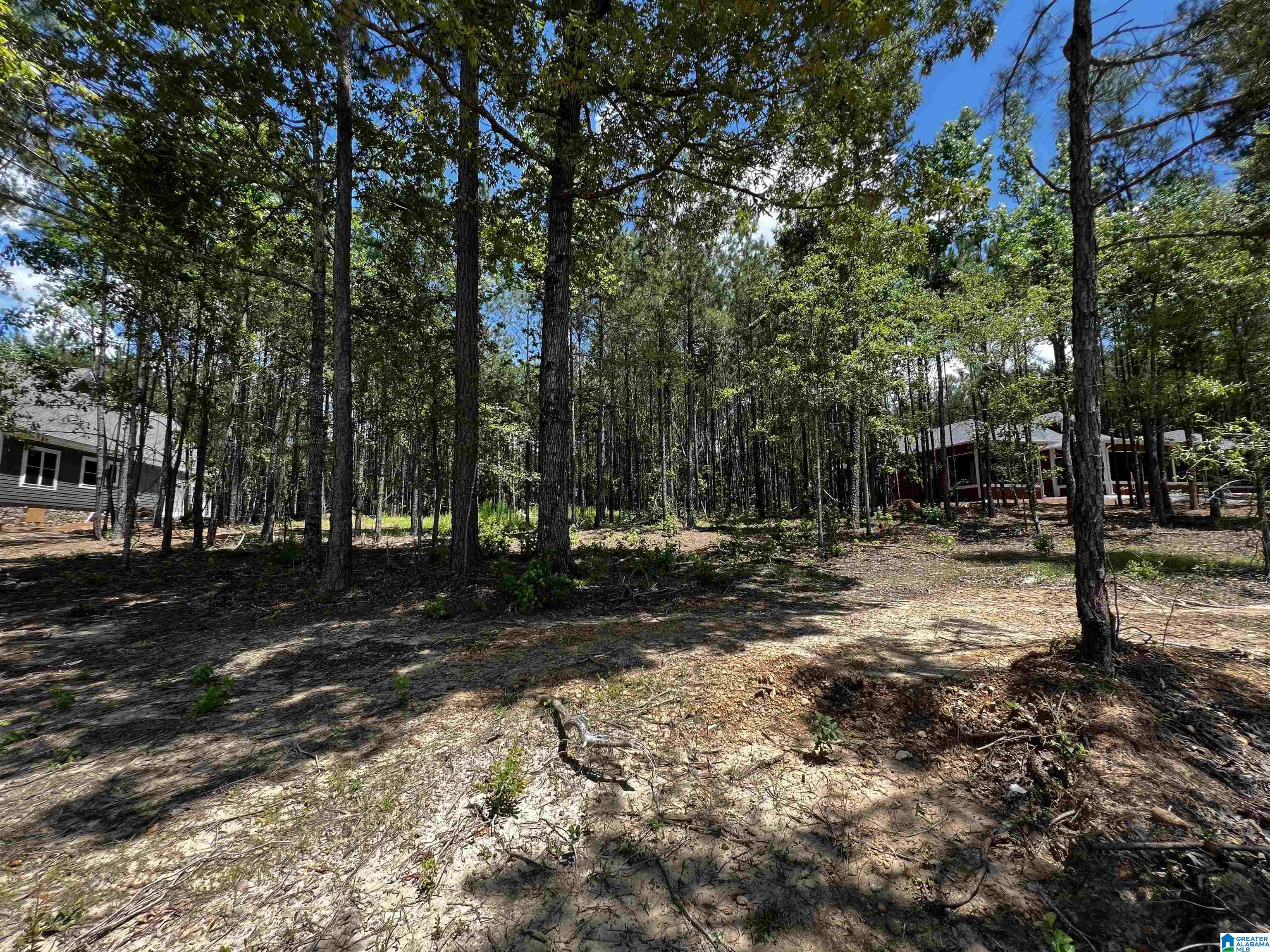 0 Daybreak Curve, Unit 5 Rockford, AL 35136 - Photo 8 of 10