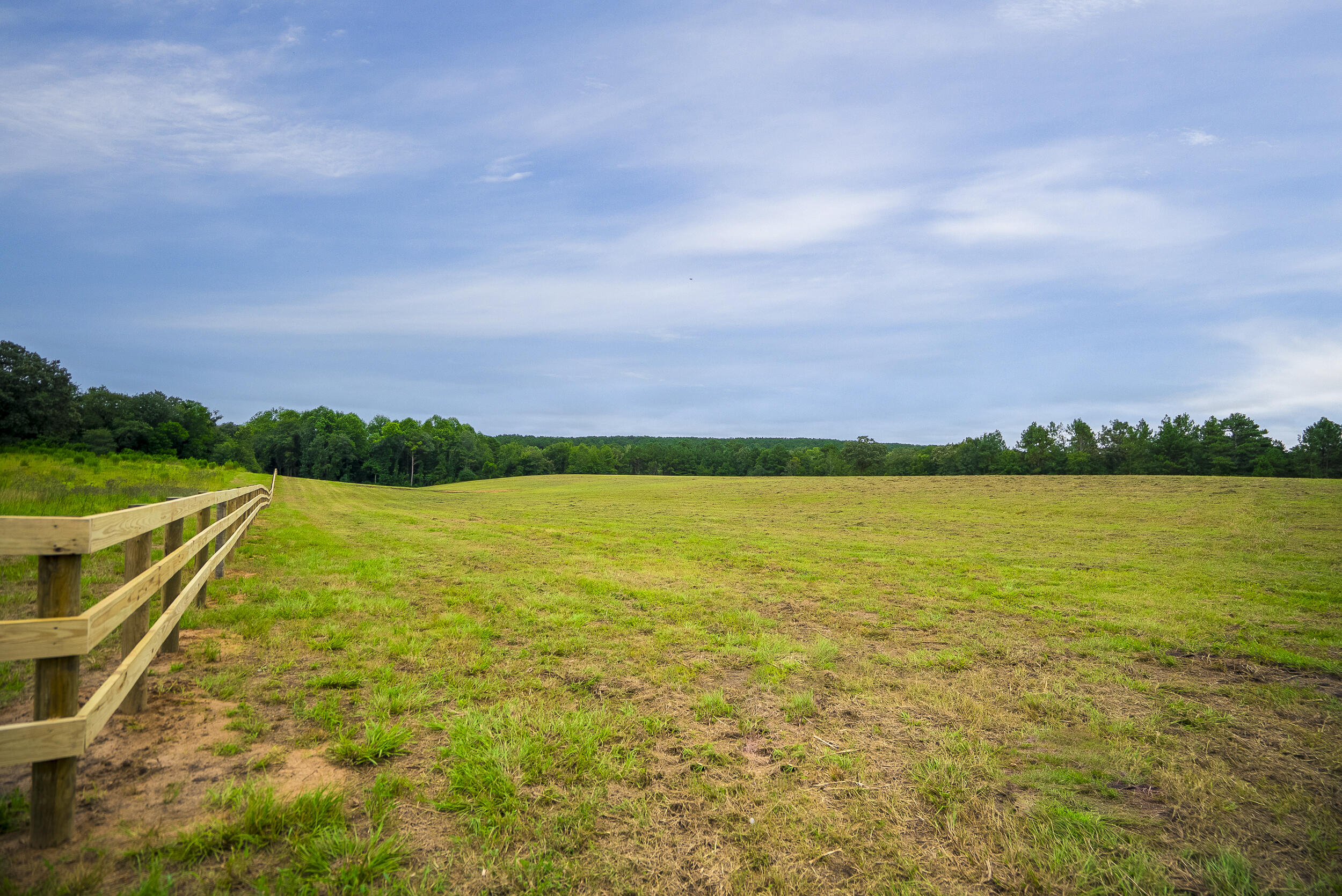 0 Cedar Creek Road Windsor, SC 29856 - Photo 6 of 31 Gallery Image 6