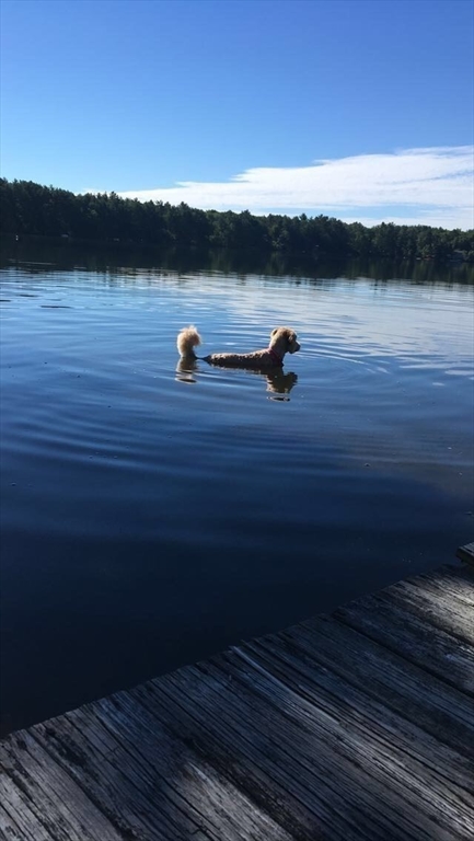 66 Pine Point Road Stow, MA 01775 - Photo 21 of 25 a view of lake