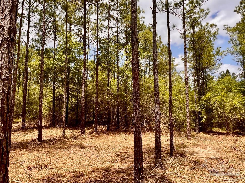 Lot 95 Turning Leaf Road Milton, FL 32571 - Photo 22 of 42 Gallery Image 22