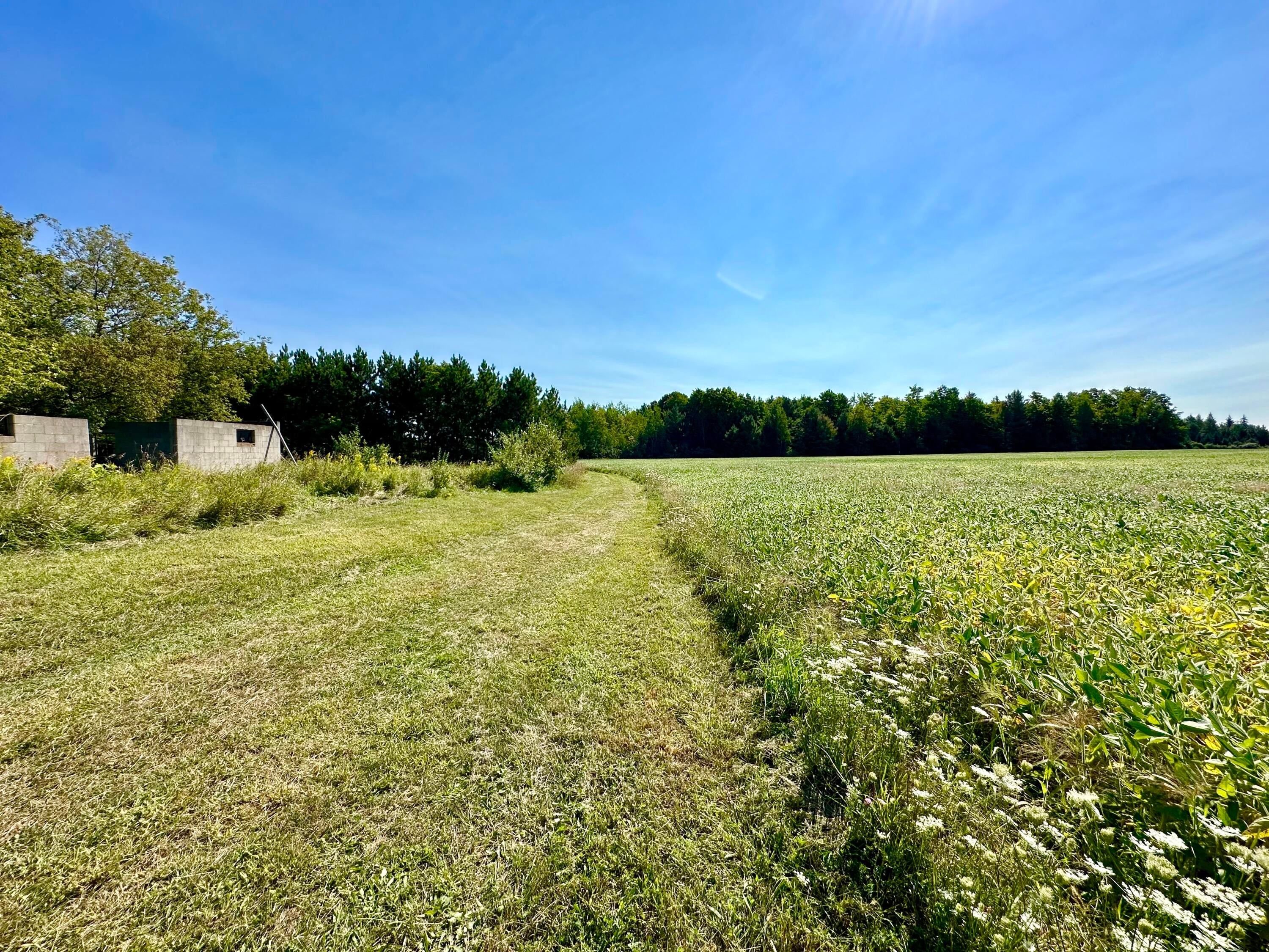 7625 Bolton Road Alpena, MI 49707 - Photo 11 of 24 Gallery Image 11