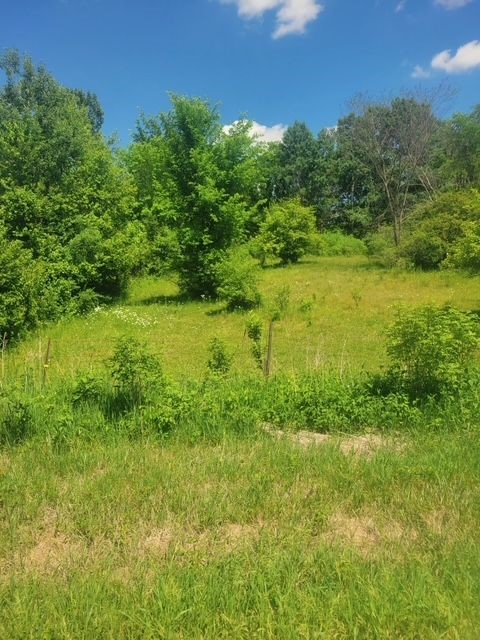 Tbd 230th Street Baldwin, WI 54002 - Photo 4 of 53