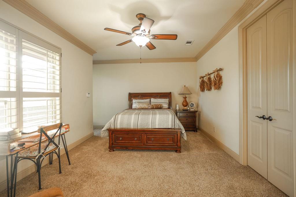 1387 Shadow Lakes Drive Wills Point, TX 75169 - Photo 16 of 30 2nd primary Bedroom with light carpet, multiple windows, ornamental molding, and a ceiling fan
