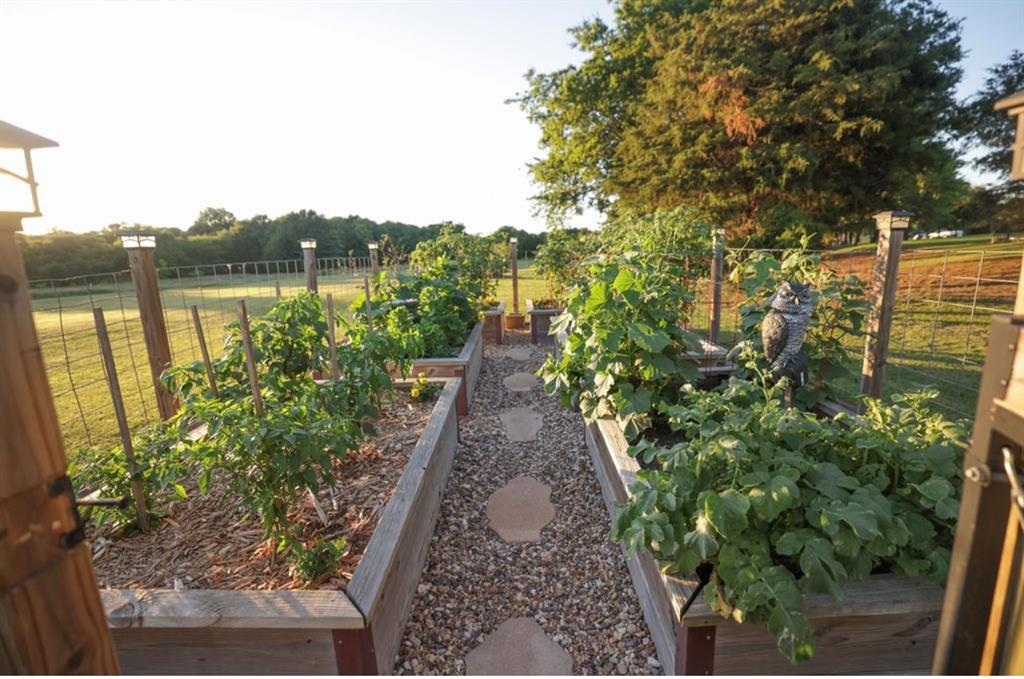 1387 Shadow Lakes Drive Wills Point, TX 75169 - Photo 29 of 30 vegetable garden