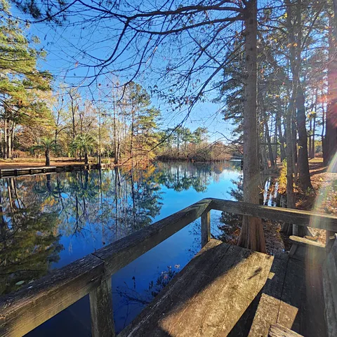 $475,000 | 105 Jean Drive, Eutawville, SC 29048