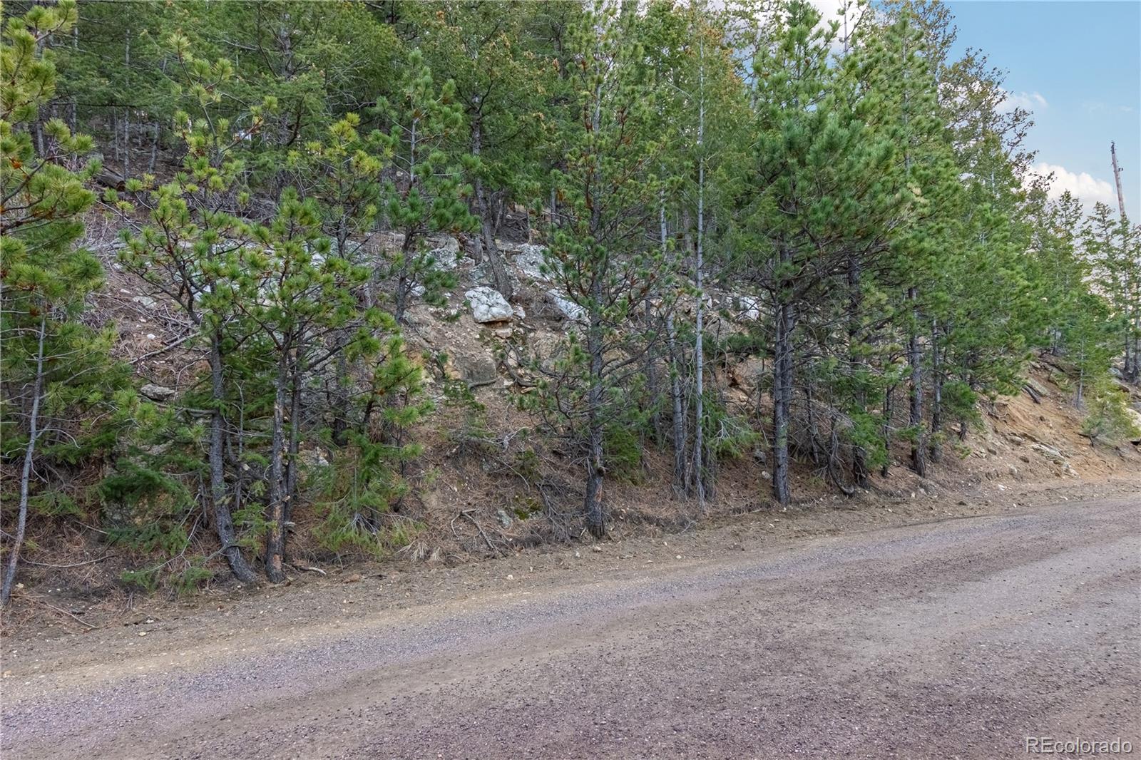 0 Upper Moss Rock Road Golden, CO 80401 - Photo 1 of 7 a view of a forest with trees in front of it