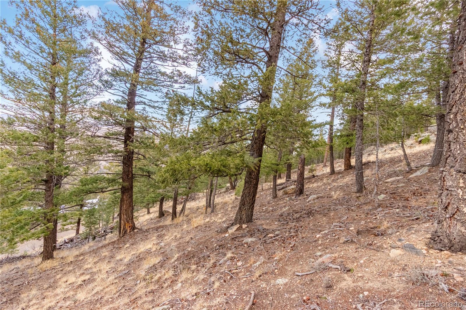 0 Upper Moss Rock Road Golden, CO 80401 - Photo 3 of 7 a view of a forest with trees