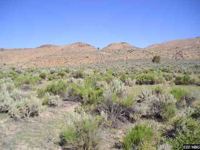 16100 Chokecherry Lane Reno, NV 89508 - Photo 4 of 9 Photo 4
