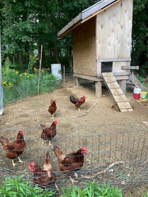 233 Waning Road Unity, ME 04988 - Photo 8 of 14 Chicken Coop
