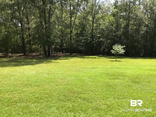 3880 Jerkins Road Repton, AL 36475 - Photo 34 of 35 Yard