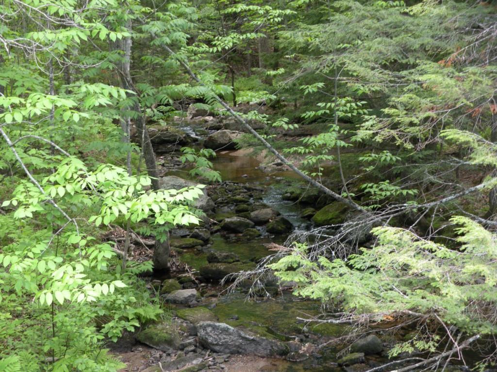 0 Ryerson Hill Road South Paris, ME 04281 - Photo 3 of 9 Photo