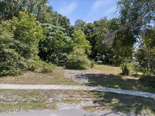 a view of a yard with a tree