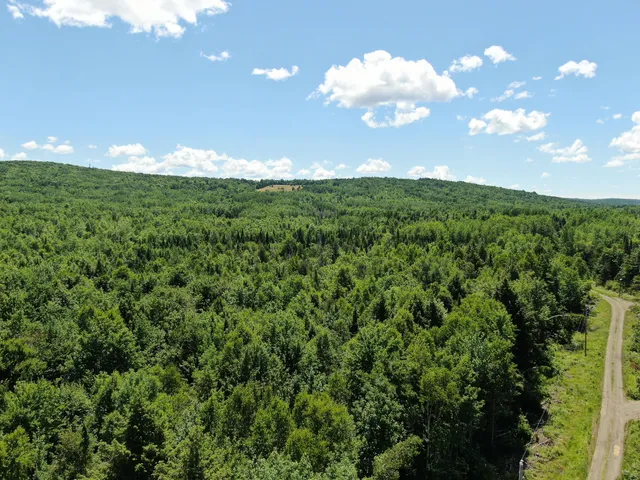$20,000 | Lot 2 Woodland Ridge Road, Danforth, ME 04424