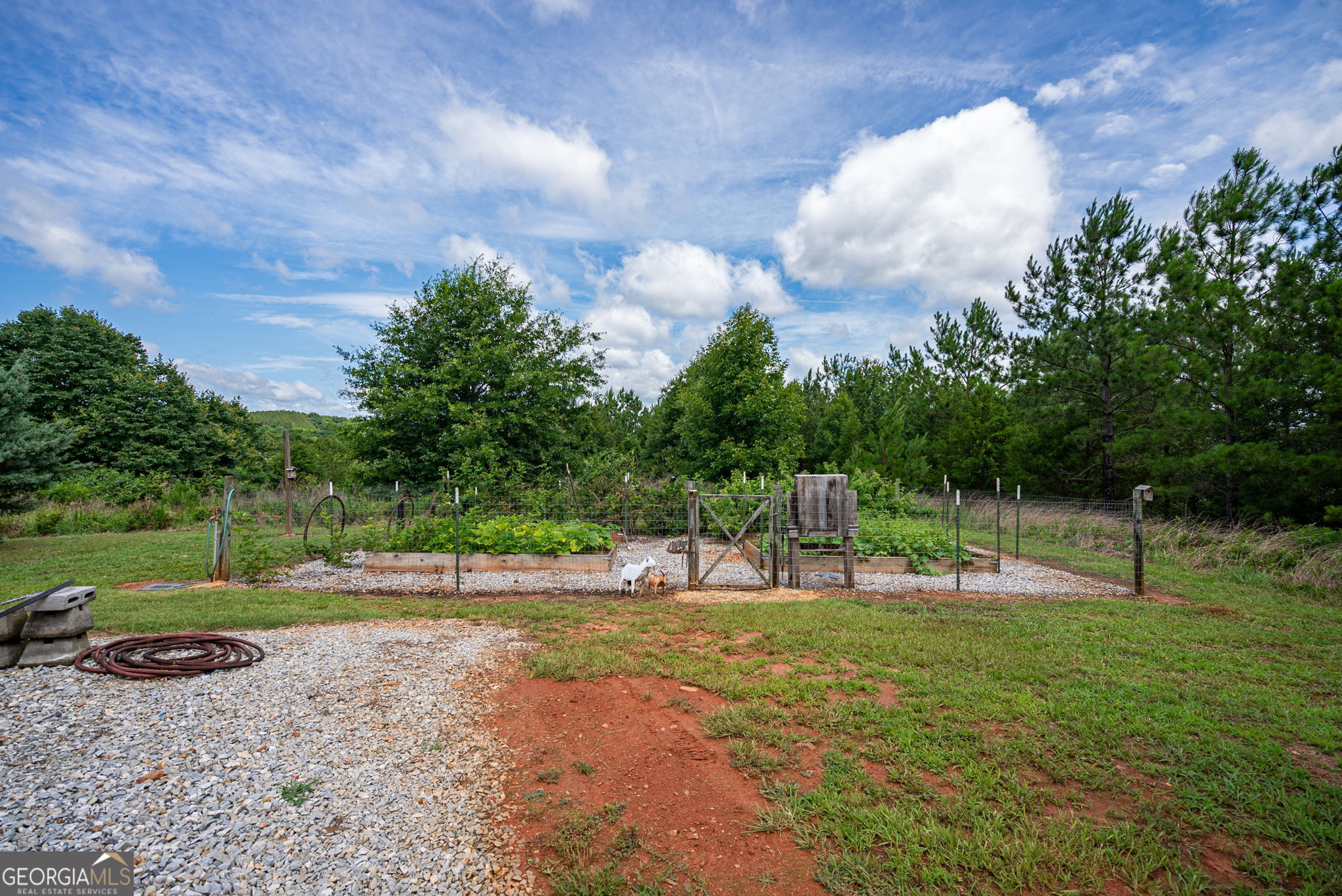 2286 Duffell Martin Road Comer, GA 30629 - Photo 48 of 81