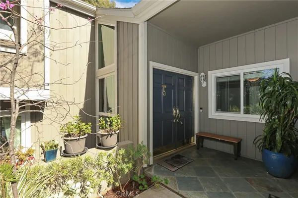 a potted plant sitting in front of a house