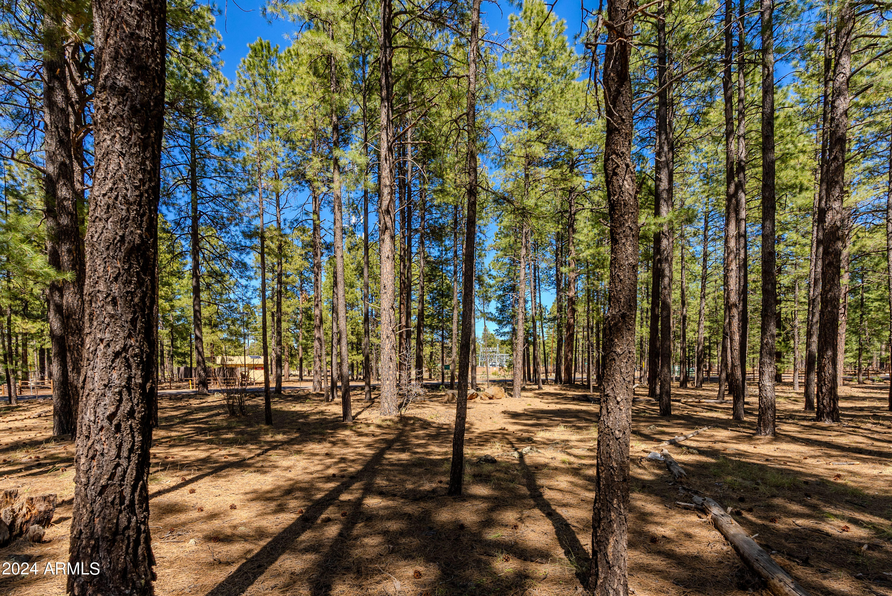 4583 Sky Hi Road Pinetop, AZ 85935 - Photo 2 of 30 4583 Sky Hi-02