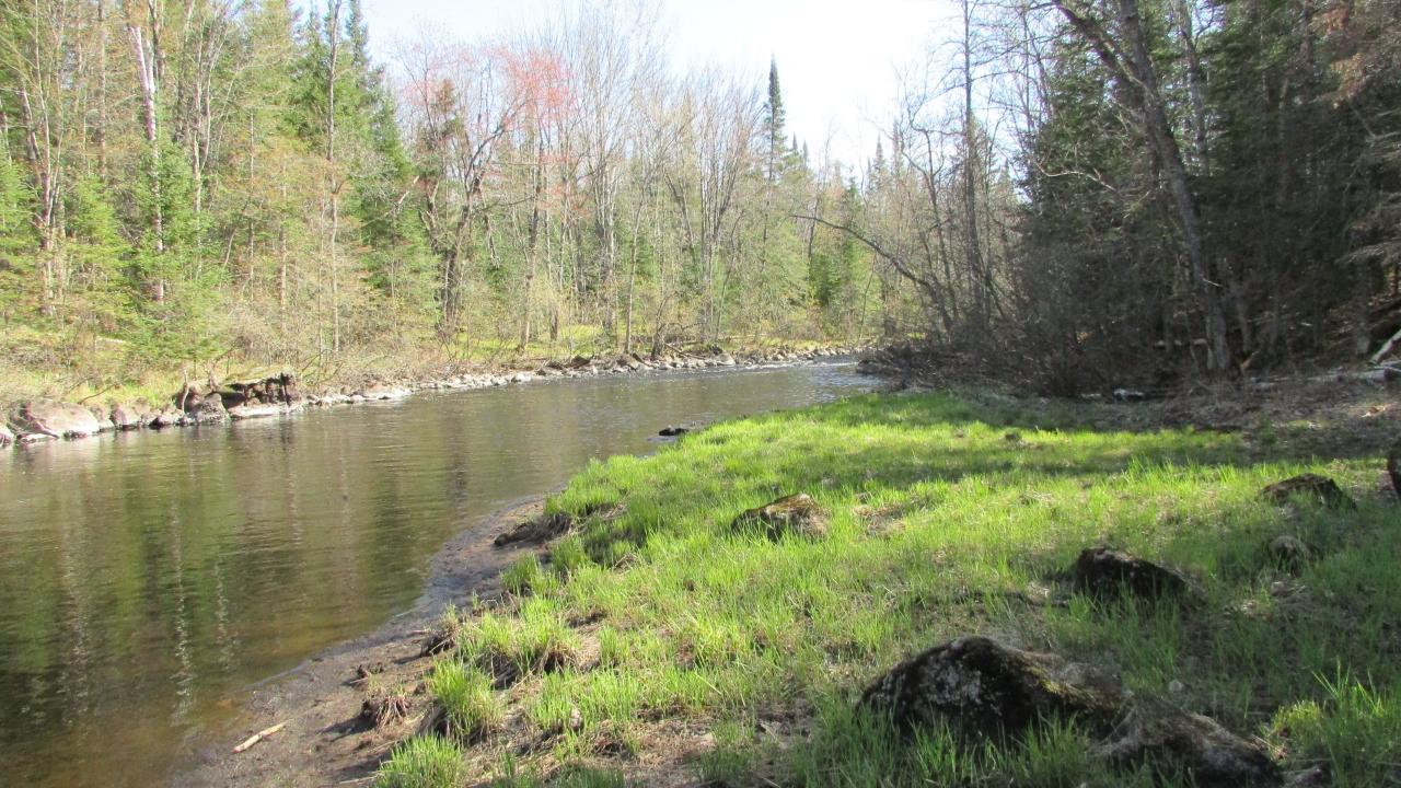 3349 Murmuring Pnes Trail Rhinelander, WI 54501 - Photo 10 of 21 Gallery Image 10