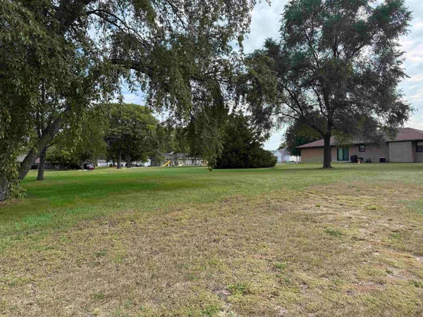 a view of a field with tree in the background