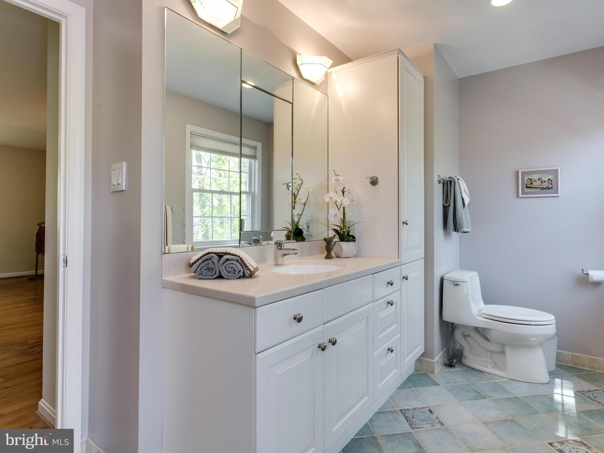 8614 Brook Road McLean, VA 22102 - Photo 14 of 30 Bath (Master)