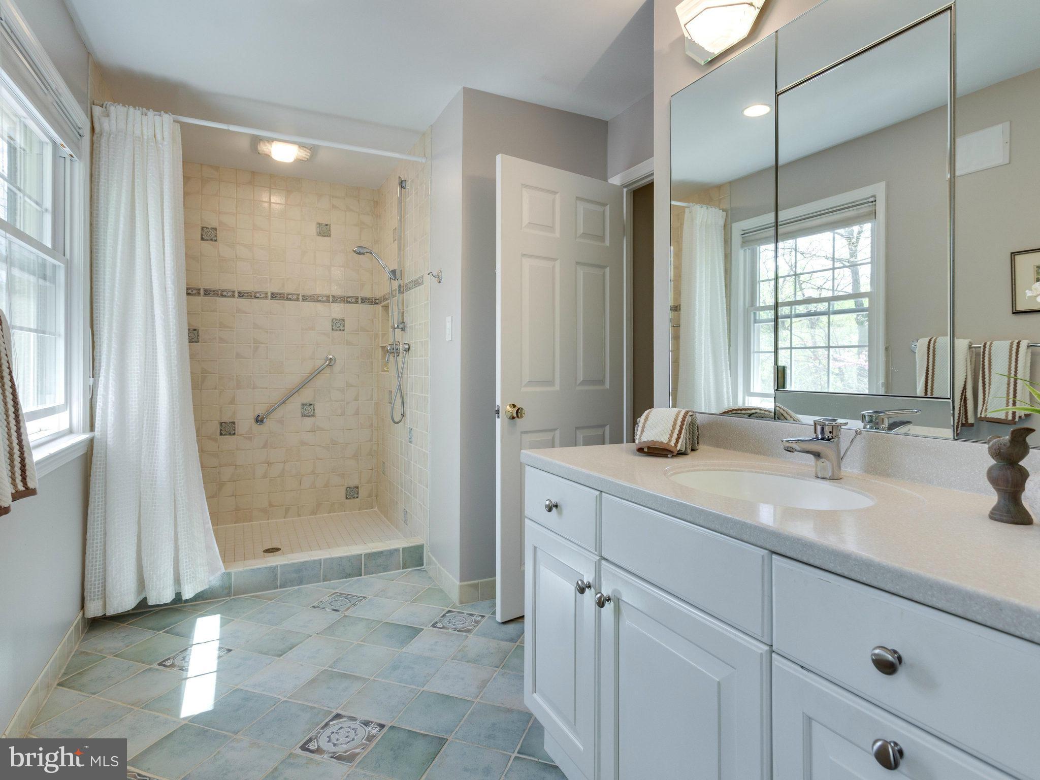 8614 Brook Road McLean, VA 22102 - Photo 15 of 30 Bath (Master)