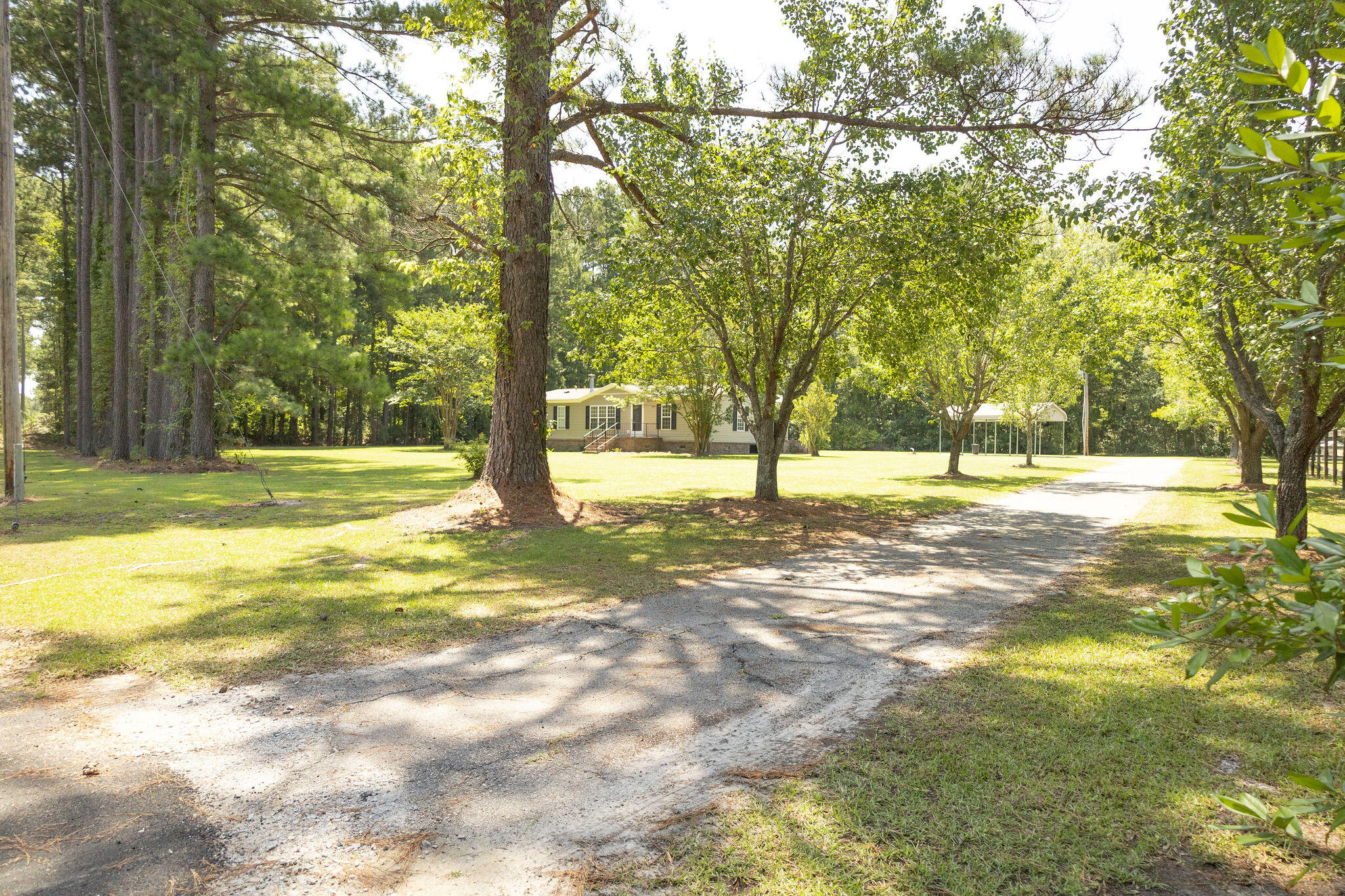 1305 Gibson Road Islandton, SC 29929 - Photo 35 of 37 3T6A2067