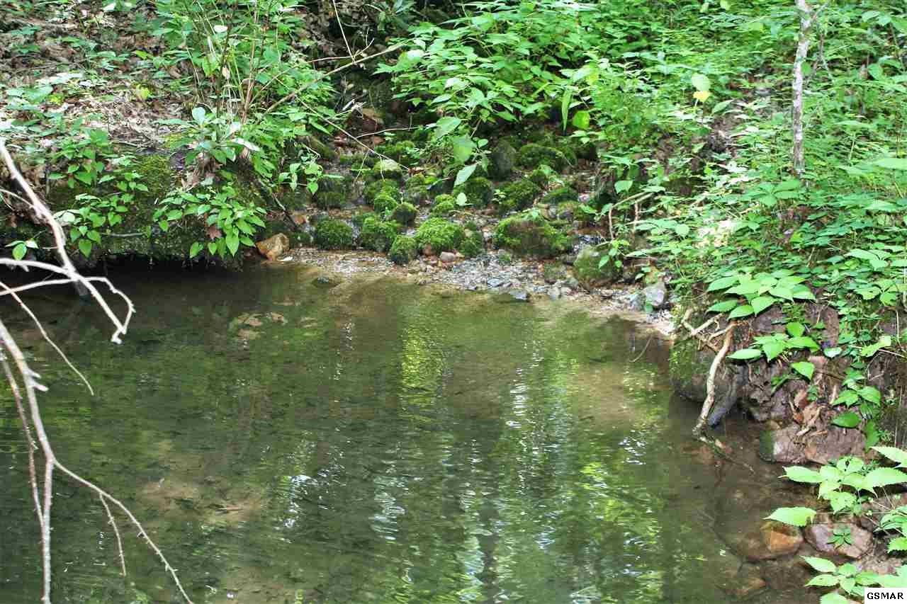 0 Collier Loop Dandridge, TN 37725 - Photo 12 of 35 Gallery Image 12