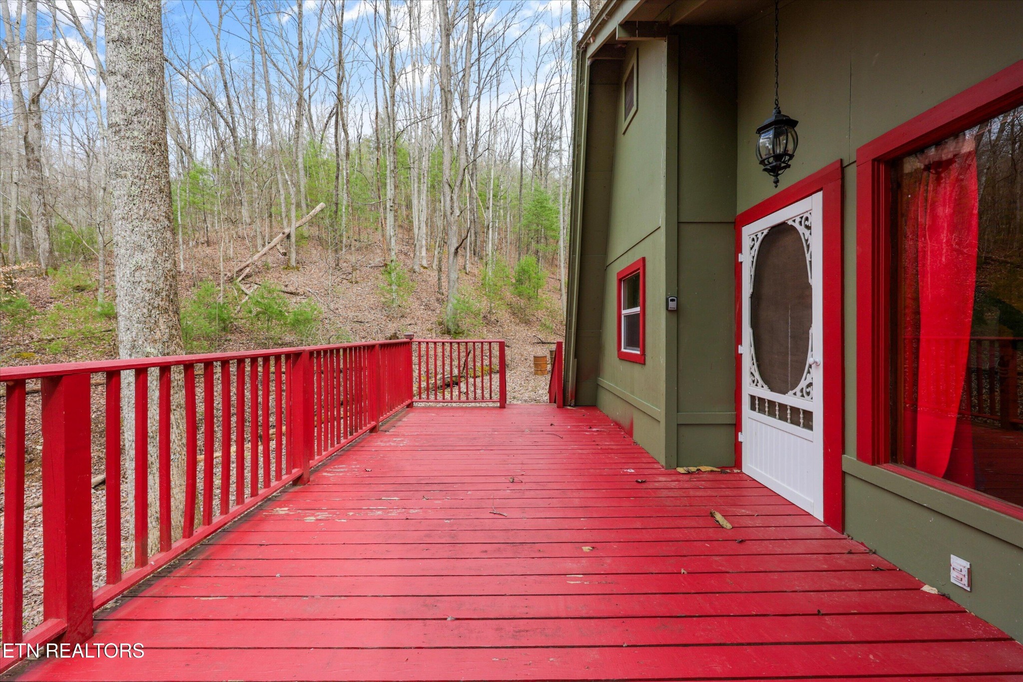 314 Caney Branch Road Tellico Plains, TN 37385 - Photo 3 of 22 Gallery Image 3