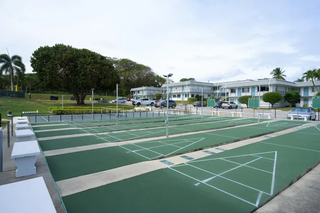 a view of a tennis ground with large trees