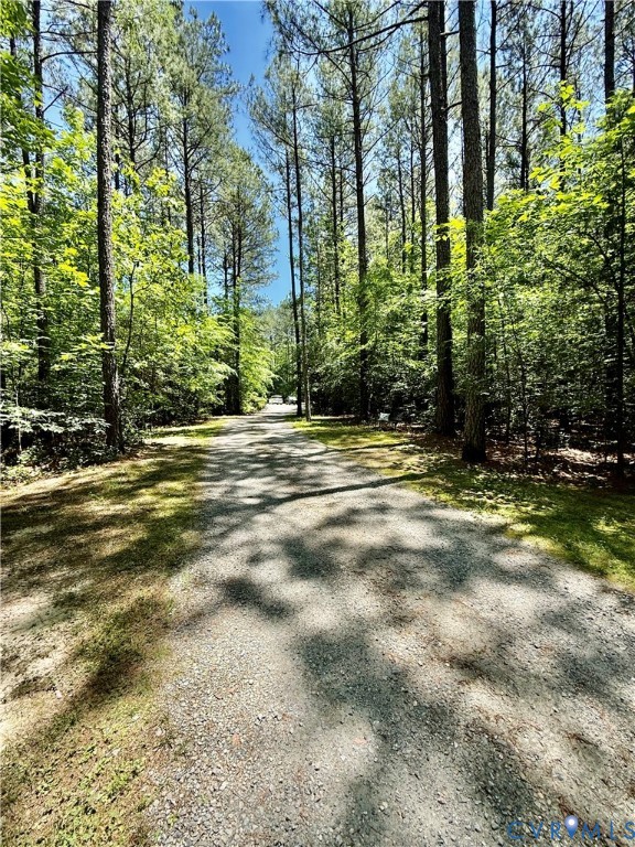 11451 Black Road Chesterfield, VA 23838 - Photo 51 of 55 Long drive way leading to the home