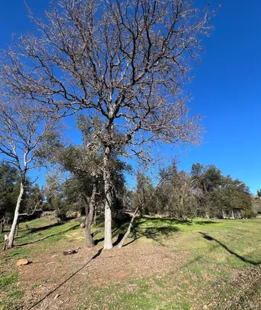 a view of a yard with mountain