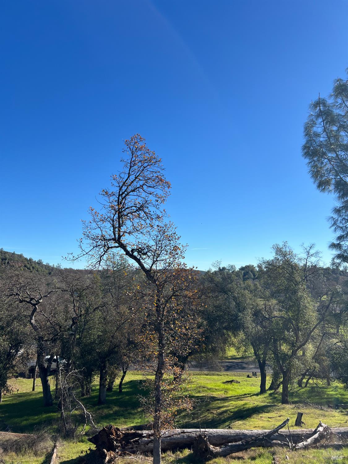 20393 Powder Horn Road Hidden Valley Lake, CA 95467 - Photo 5 of 6