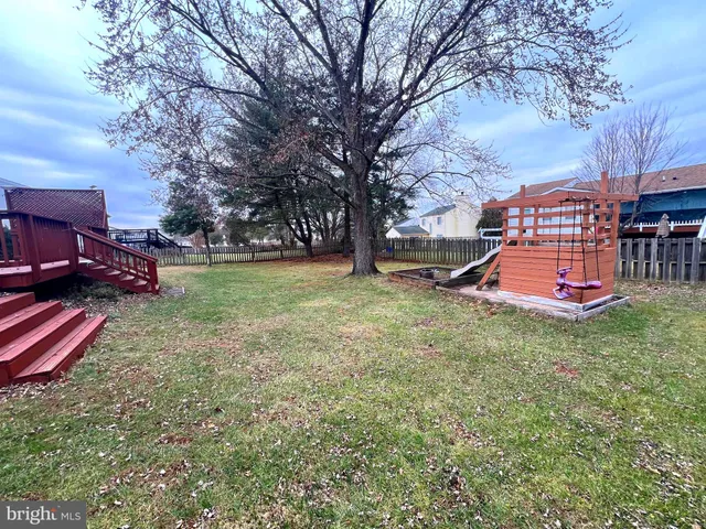 a view of a yard with plants and large trees