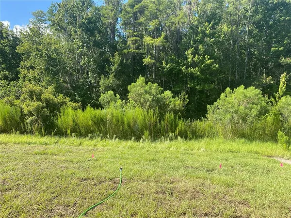 $2,600 | 18236 Hunters Meadow Walk, Land O Lakes, FL 34638