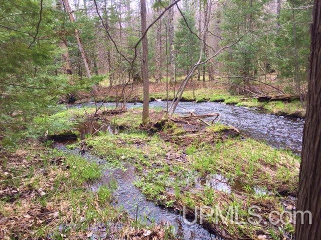 Tbd Carpenter Road Crystal Falls, MI 49920 - Photo 13 of 21