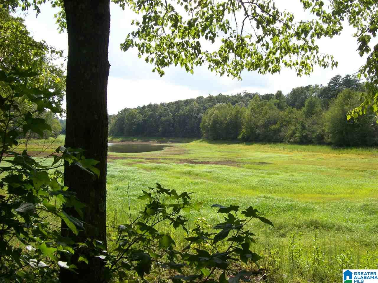 7378 State Lake Road Delta, AL 36258 - Photo 31 of 38