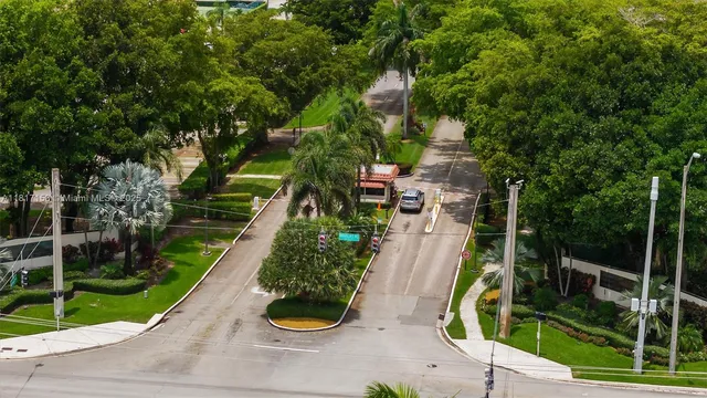 a view of a garden with plants and large trees