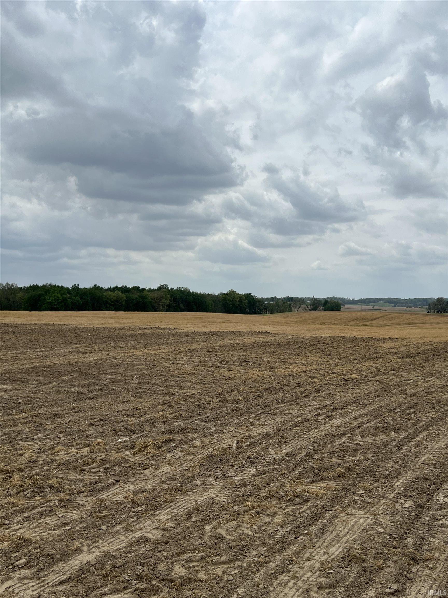 1850 East Holiday Lake Road Ferdinand, IN 47532 - Photo 4 of 10