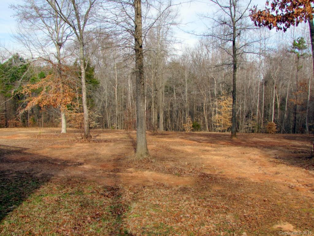 4007 Orion Road York, SC 29745 - Photo 16 of 18 Gallery Image 16