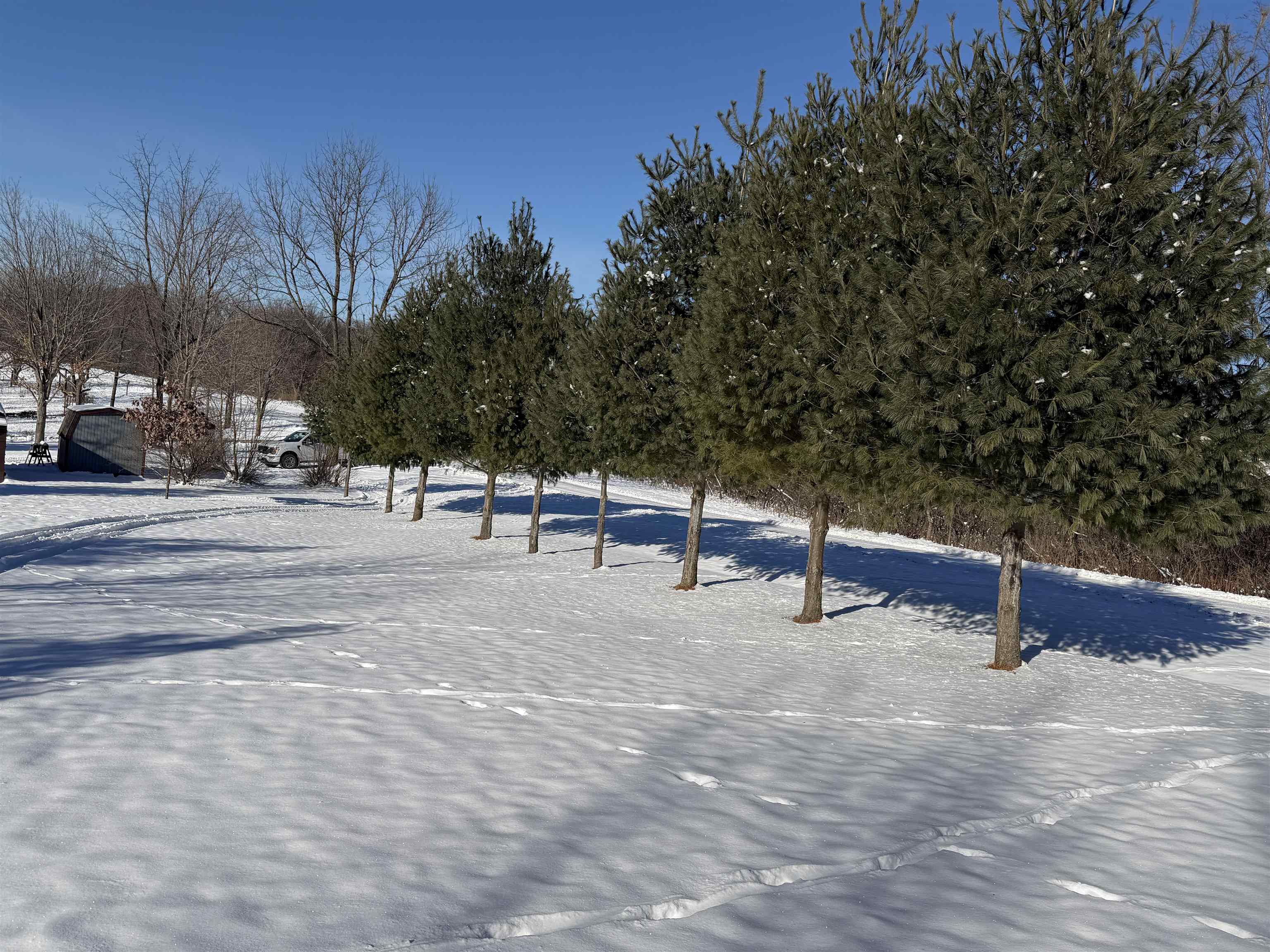 20549 Big Timber Ridge Road Eastman, WI 54626 - Photo 11 of 29