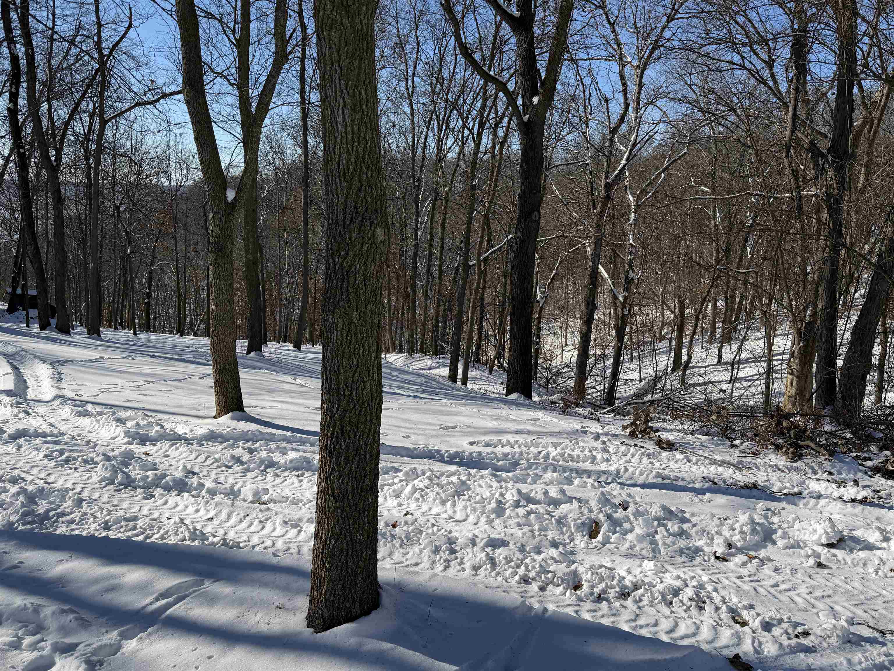 20549 Big Timber Ridge Road Eastman, WI 54626 - Photo 16 of 29