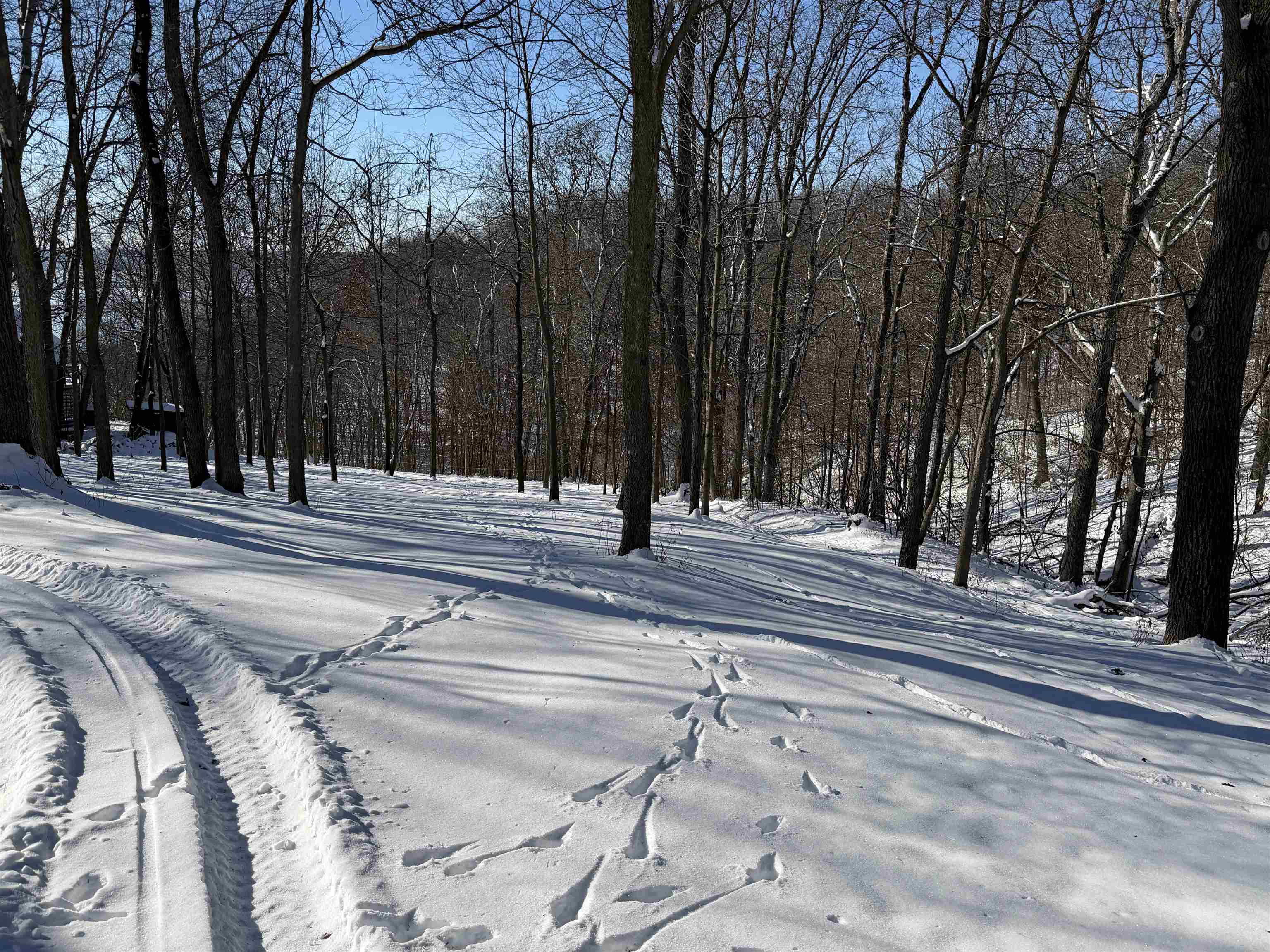 20549 Big Timber Ridge Road Eastman, WI 54626 - Photo 20 of 29