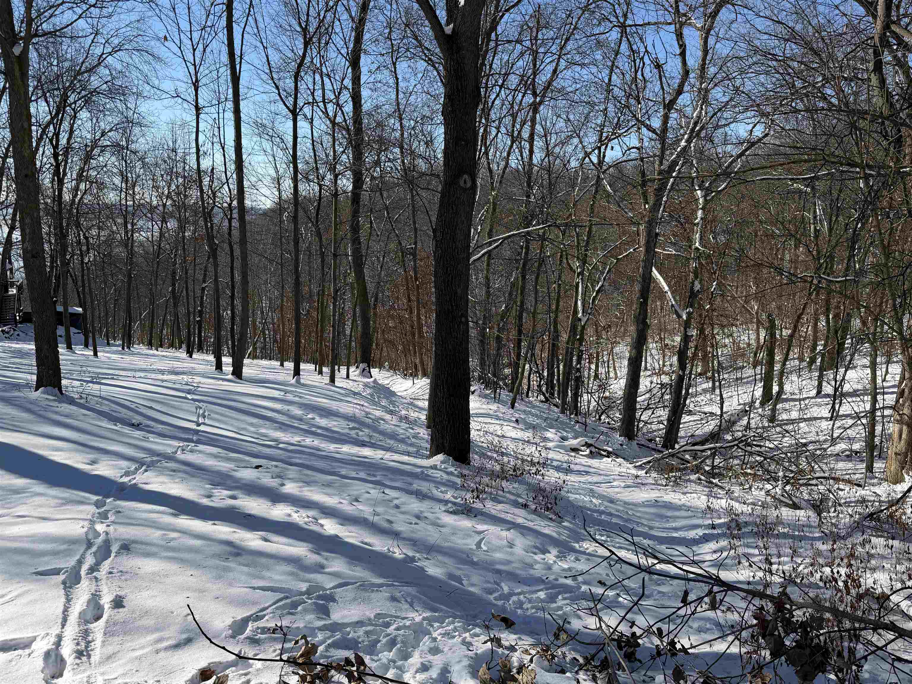 20549 Big Timber Ridge Road Eastman, WI 54626 - Photo 21 of 29