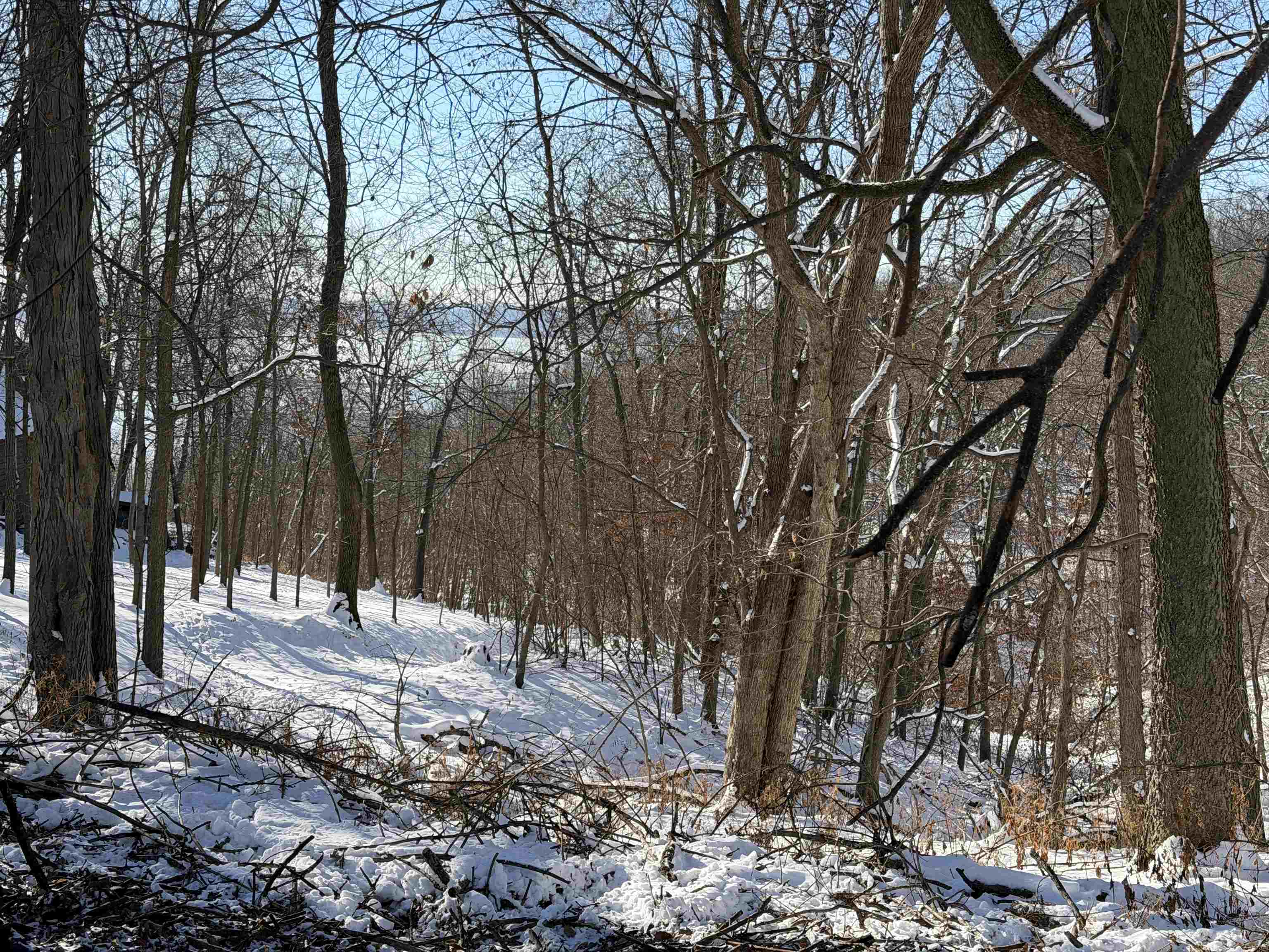 20549 Big Timber Ridge Road Eastman, WI 54626 - Photo 22 of 29