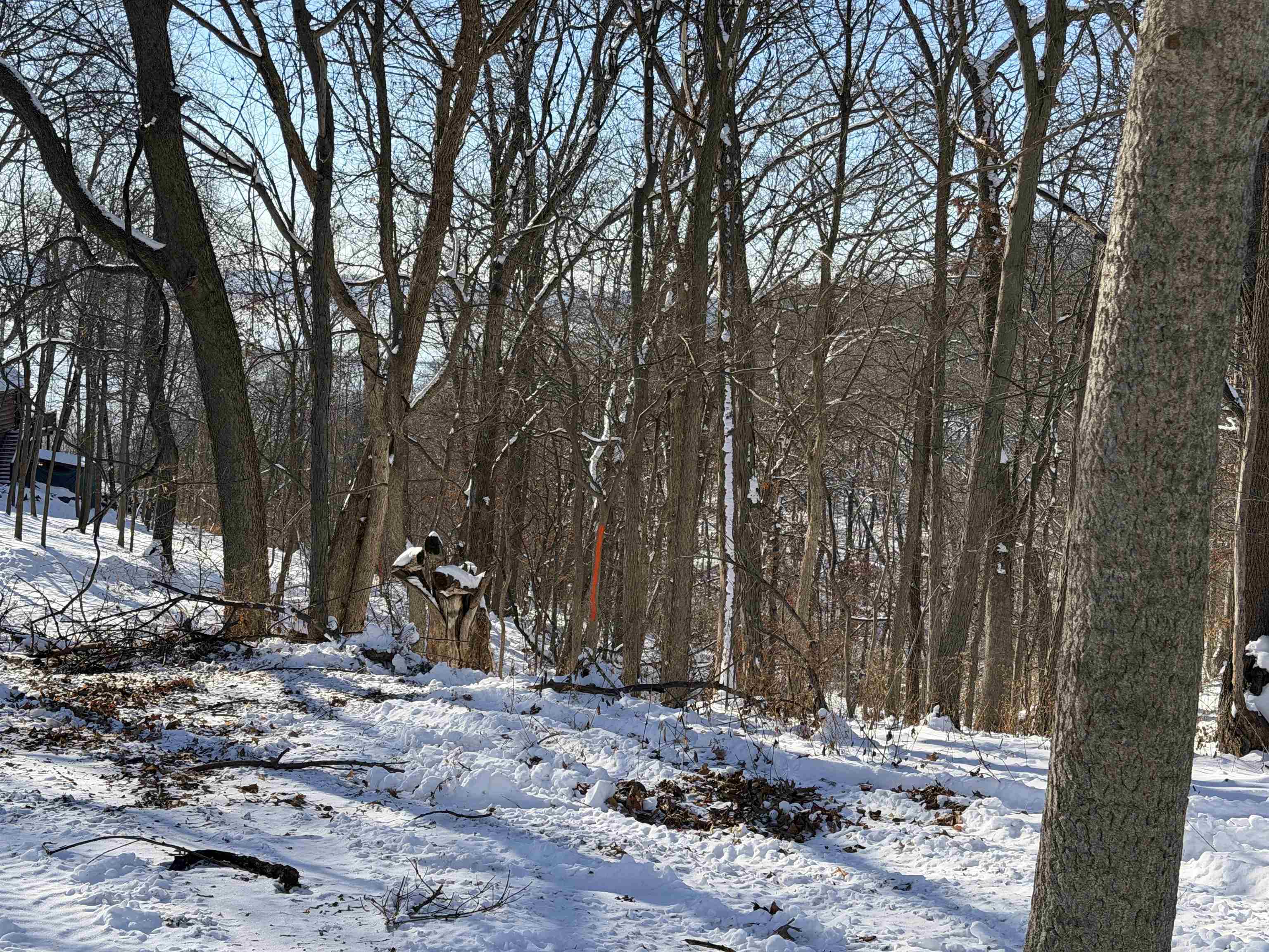 20549 Big Timber Ridge Road Eastman, WI 54626 - Photo 23 of 29